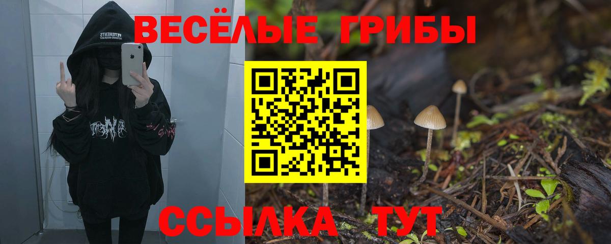 Курчалой  Псилоцибиновые грибы ЛСД  Вход с VPN 